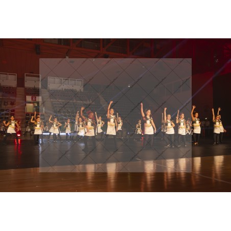 Photo Numérique  Gym Danse Gala : Les Enfants 24