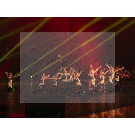 Photo Numérique  Gym Danse Gala : Les Enfants 25