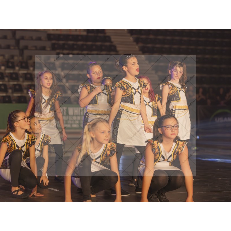 Photo Numérique  Gym Danse Gala : Les Enfants 58