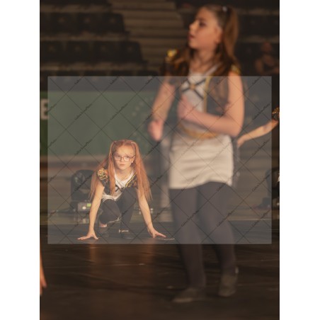 Photo Numérique  Gym Danse Gala : Les Enfants 71