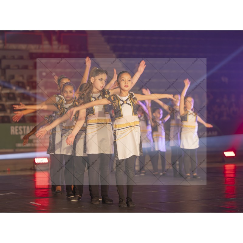 Photo Numérique  Gym Danse Gala : Les Enfants 86