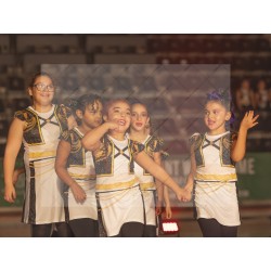 Photo Numérique  Gym Danse Gala : Les Enfants 91