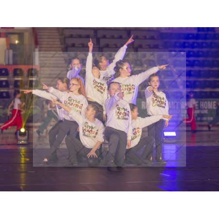 Photo Numérique  Gym Danse Gala : Les Enfants 93