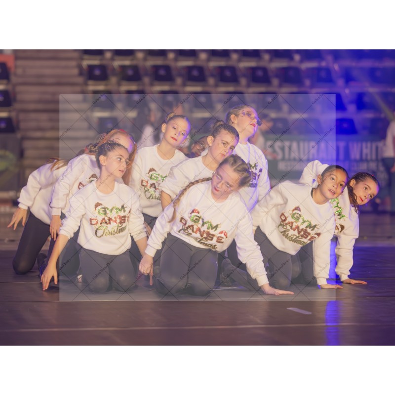 Photo Numérique  Gym Danse Gala : Les Enfants 96