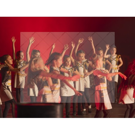 Photo Numérique  Gym Danse Gala : Les Enfants 108