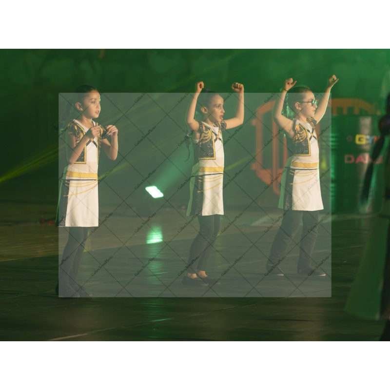 Photo Numérique  Gym Danse Gala : Les Enfants 111