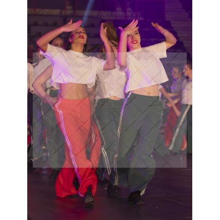 Photo Numérique  Gym Danse Gala : Les Ados 17