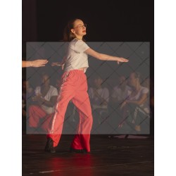 Photo Numérique  Gym Danse Gala : Les Ados 62