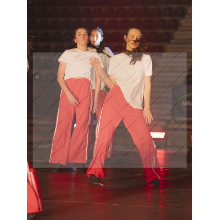 Photo Numérique  Gym Danse Gala : Les Ados 84