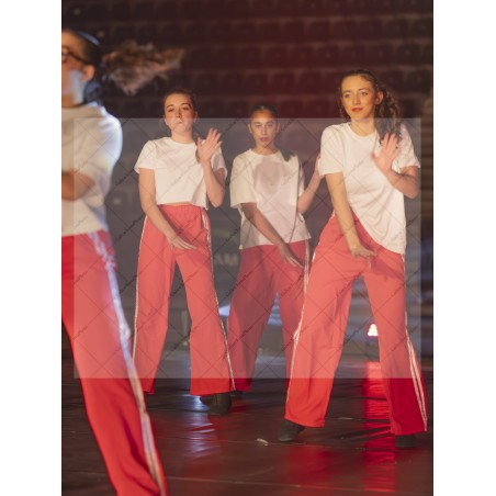 Photo Numérique  Gym Danse Gala : Les Ados 85