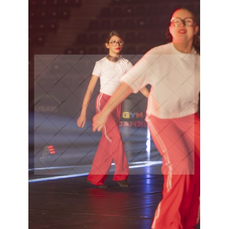 Photo Numérique  Gym Danse Gala : Les Ados 86