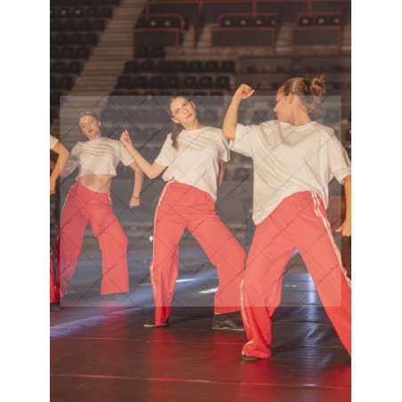 Photo Numérique  Gym Danse Gala : Les Ados 87