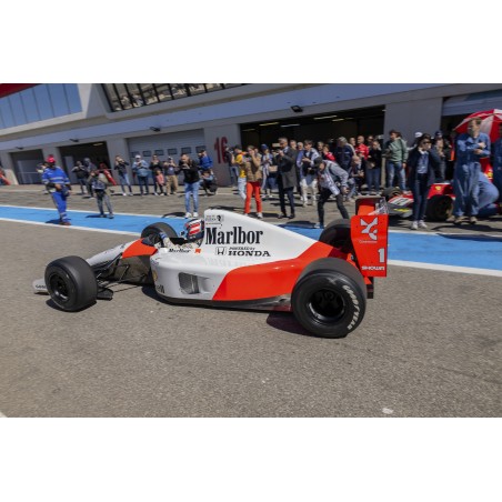 Formule 1 d'Ayrton Senna  au GP historique France