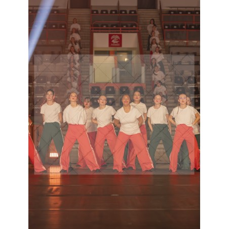 Photo Numérique Gym Danse Gala : Les Ados 140