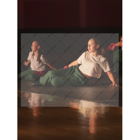Photo Numérique Gym Danse Gala : Les Ados 183