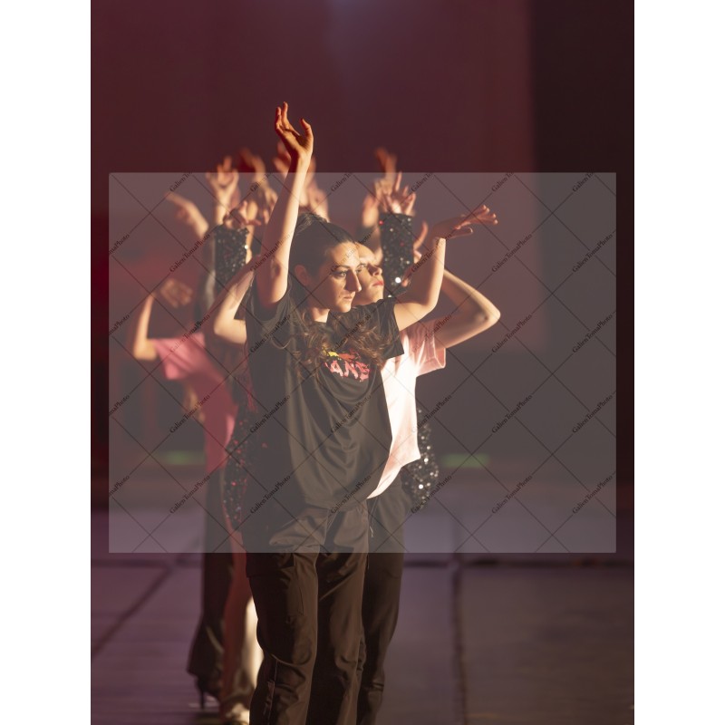 Photo Numérique Gym Danse Gala : Les Adultes 10