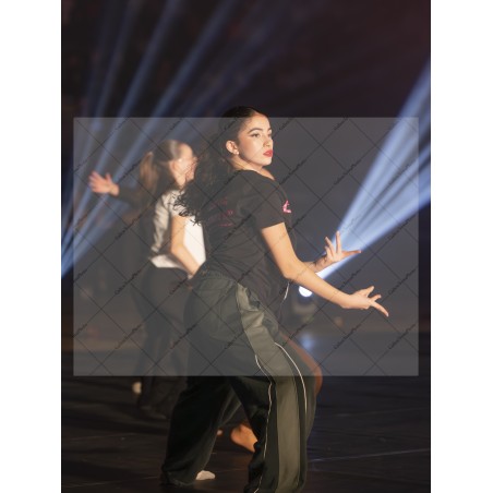 Photo Numérique Gym Danse Gala : Les Adultes 22