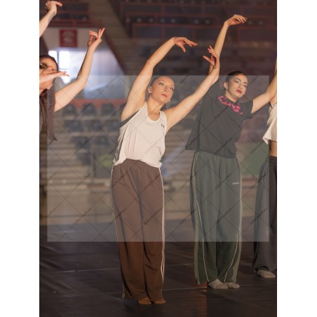 Photo Numérique Gym Danse Gala : Les Adultes 25