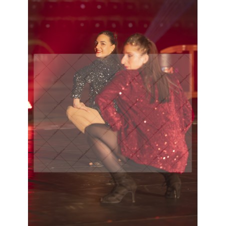 Photo Numérique Gym Danse Gala : Les Adultes 41