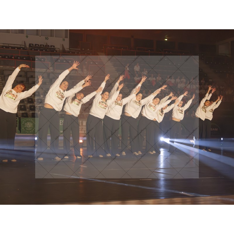 Photo Numérique Gym Danse Gala : Les Adultes 44