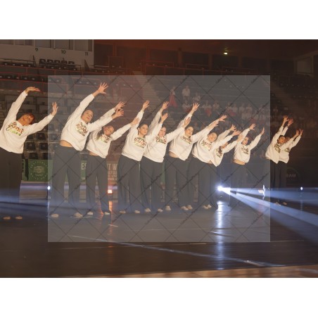 Photo Numérique Gym Danse Gala : Les Adultes 44