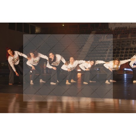 Photo Numérique Gym Danse Gala : Les Adultes 46