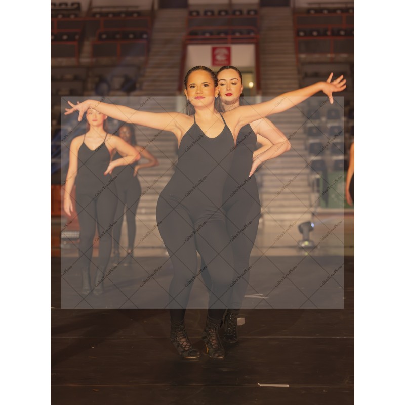 Photo Numérique Gym Danse Gala : Les Adultes 74