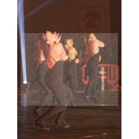 Photo Numérique Gym Danse Gala : Les Adultes 79