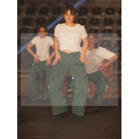 Photo Numérique Gym Danse Gala : Les Adultes 87