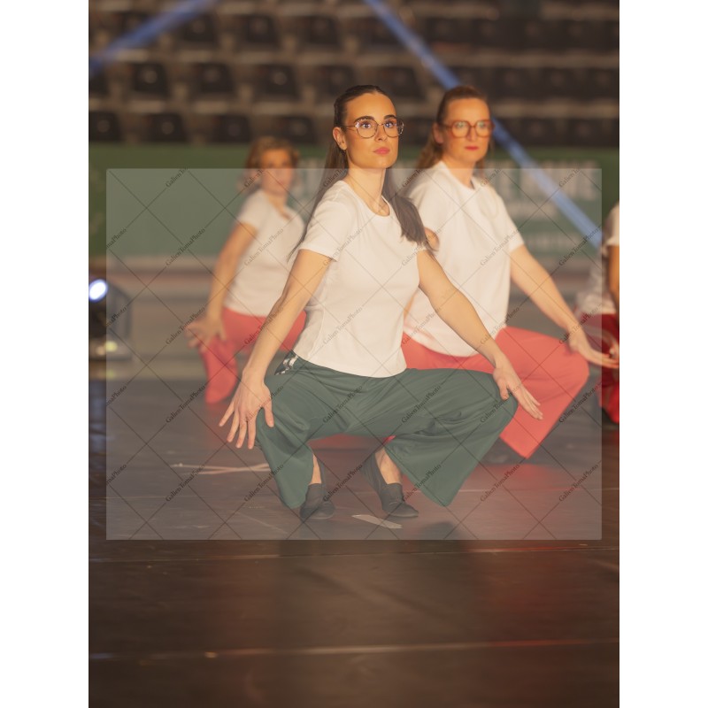 Photo Numérique Gym Danse Gala : Les Adultes 89