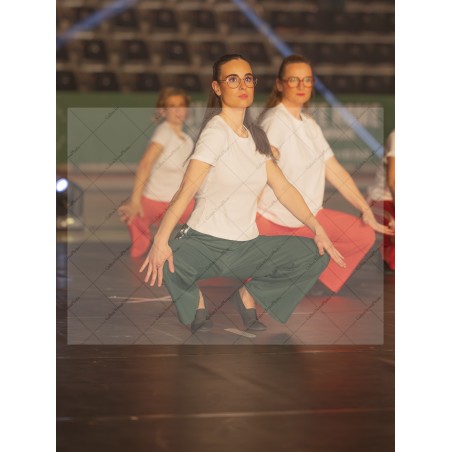 Photo Numérique Gym Danse Gala : Les Adultes 89