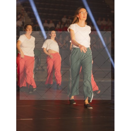 Photo Numérique Gym Danse Gala : Les Adultes 91