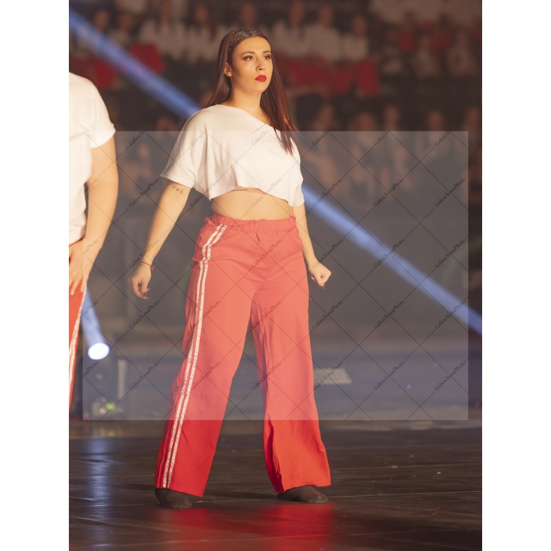 Photo Numérique Gym Danse Gala : Les Adultes 94