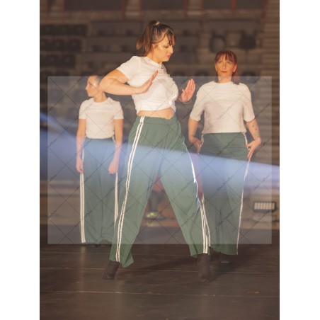 Photo Numérique Gym Danse Gala : Les Adultes 95