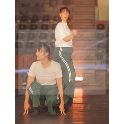 Photo Numérique Gym Danse Gala : Les Adultes 99