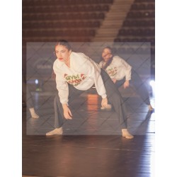 Photo Numérique Gym Danse Gala : Les Adultes 114