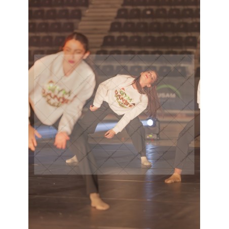 Photo Numérique Gym Danse Gala : Les Adultes 115