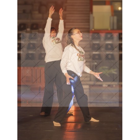 Photo Numérique Gym Danse Gala : Les Adultes 118