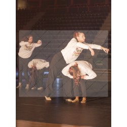 Photo Numérique Gym Danse Gala : Les Adultes 122