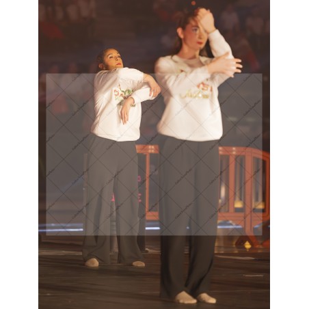 Photo Numérique Gym Danse Gala : Les Adultes 128