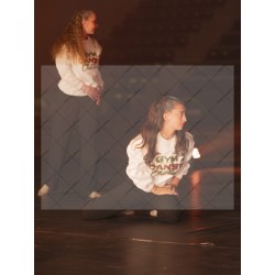 Photo Numérique Gym Danse Gala : Les Adultes 135