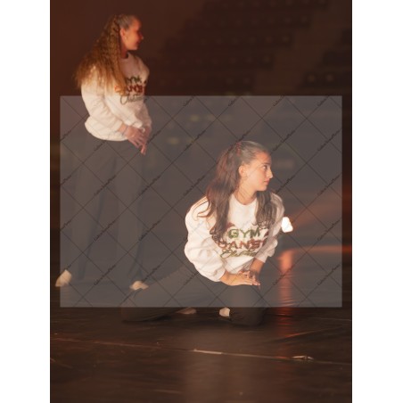 Photo Numérique Gym Danse Gala : Les Adultes 135