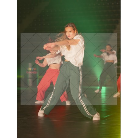 Photo Numérique Gym Danse Gala : Les Adultes 140