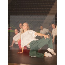 Photo Numérique Gym Danse Gala : Les Adultes 141