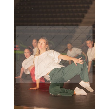 Photo Numérique Gym Danse Gala : Les Adultes 141