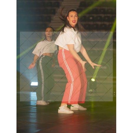 Photo Numérique Gym Danse Gala : Les Adultes 142