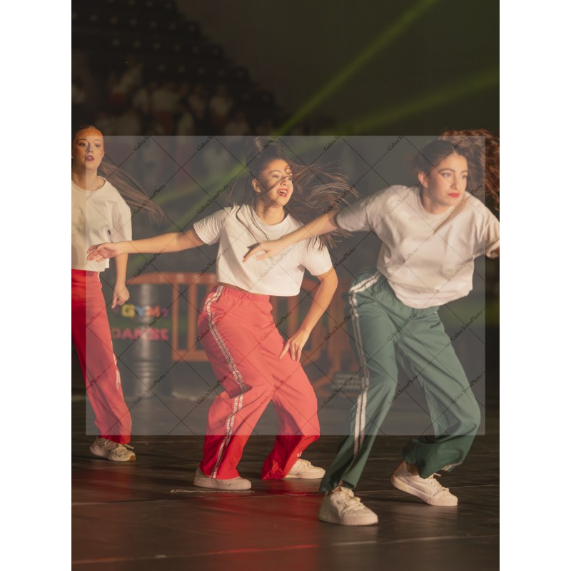 Photo Numérique Gym Danse Gala : Les Adultes 146