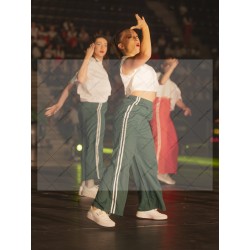 Photo Numérique Gym Danse Gala : Les Adultes 147