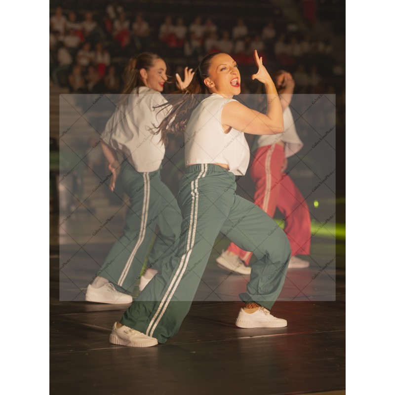 Photo Numérique Gym Danse Gala : Les Adultes 148