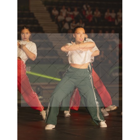Photo Numérique Gym Danse Gala : Les Adultes 150